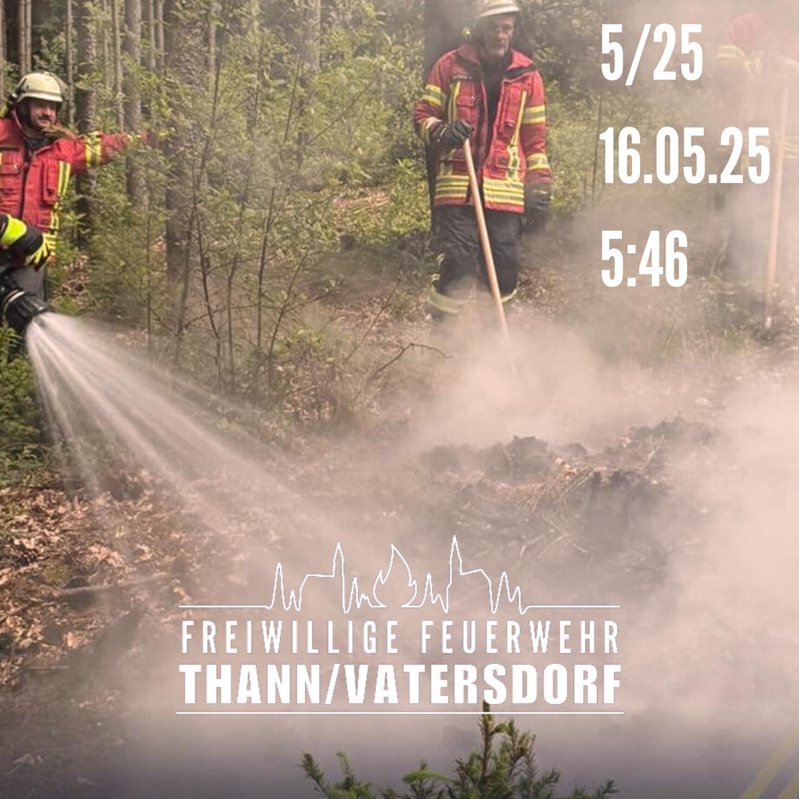 Brand 2 im Freien / Wald (5/2025)